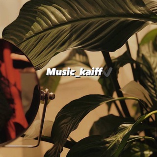 Логотип @music_kaiff - 𝑴𝒖𝒔𝒊𝒄_𝑲𝒂𝒊𝒇𝒇✔