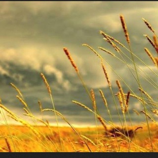 Логотип @music_minpro - Минимализм и простота