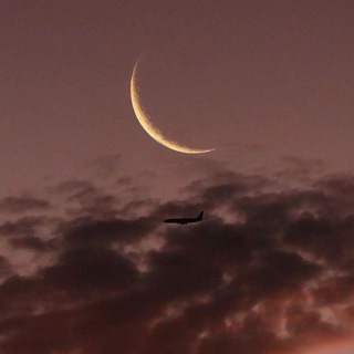 Логотип @music_moonnn - 𝕄𝕌𝕊𝕀ℂ 𝕄𝕆𝕆ℕ 🌙