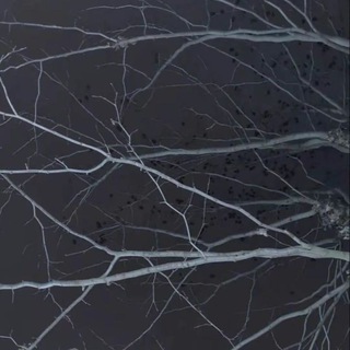 Логотип @music_personality - 𝐦𝐮𝐬𝐢𝐜 𝐩𝐞𝐫𝐬𝐨𝐧𝐚𝐥𝐢𝐭𝐲🫀