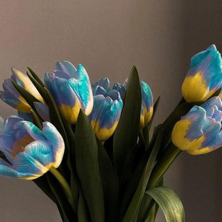 Логотип @music_teplo - 💙𝑴𝒖𝒔𝒊𝒄 𝑻𝒆𝒑𝒍𝒐💛