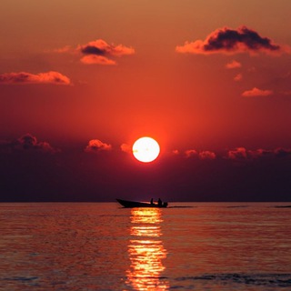 Логотип @music_top_new_rmx1 - Группа канала @meno_muz❤️