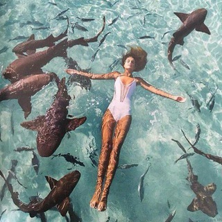 Логотип @music_video - Music Video