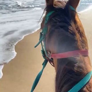 Логотип @music_vostok1 - Музыка востока 🎶