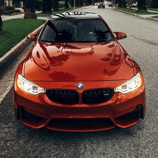 Логотип @music_yar4ik - Top Track🚗🚀