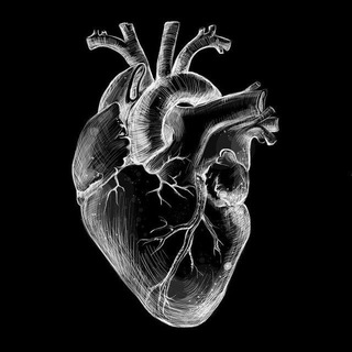 Логотип @musical0808 - 𝕊𝕠𝕞𝕖𝕥𝕙𝕚𝕟𝕘 𝕚𝕟 𝕤𝕒𝕕🫀