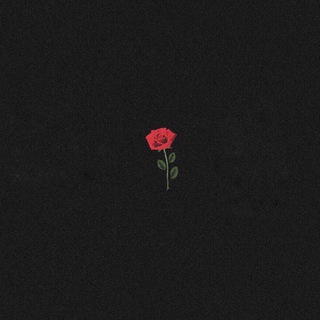 Логотип @musicc1505 - Music | Музыка