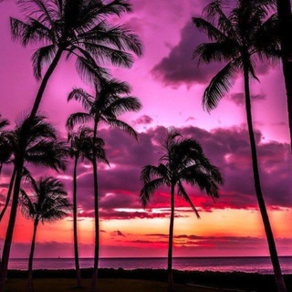 Логотип @musicc_muzyka - Музыка 2025 | Песни | Ремиксы