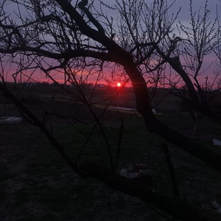 Логотип @musicd2024 - ✙️️ Music(Remix)✙️️