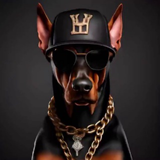 Логотип @musicdober - 🐾NE°DOBERMUSIC - Собачий вальс