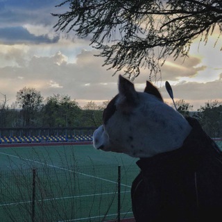 Логотип @musicforsoul217 - Музыкальный рай🔥