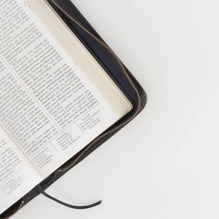 Логотип @musicgnat - Gospel today