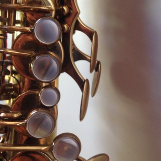 Логотип @musicians_chat - musicians chat