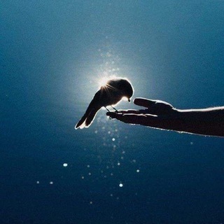 Логотип @musikgefuehlt - Musikgefühlt