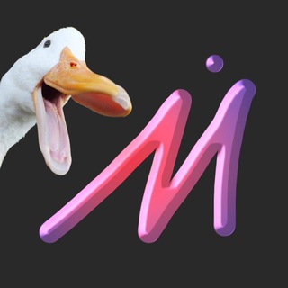 Логотип @musiorsha - musiórsha