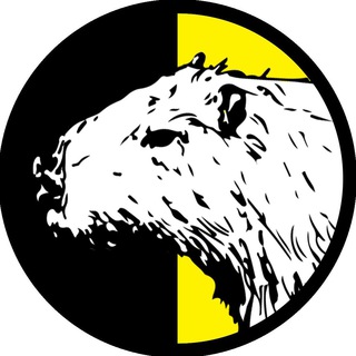 Логотип @musiquesf - MSF