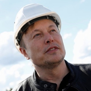 Логотип @musk_is_here - Илон, у нас проблемы