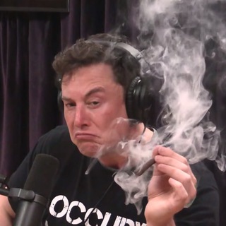 Логотип @musktweets - elon musk tweets