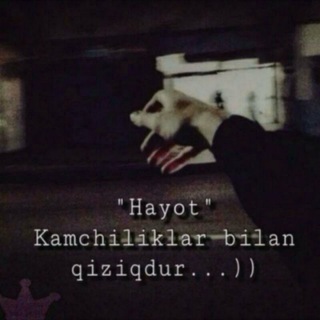 Логотип @muslim_va_muslimalar_no1 - #BaXtSizLaR_SayyOraSi
