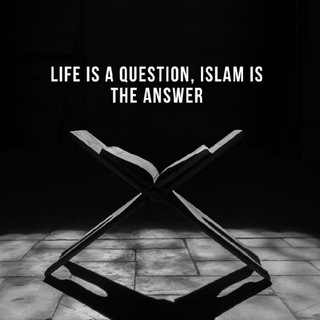 Логотип @muslims_pro - Ислам - религия мира и добра