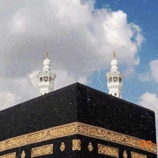 Логотип @muslimshop_ukraine2 - Исламский магазин Украина Турция 🇹🇷🇺🇦