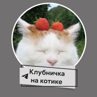 Логотип @musorkanik - "Клубничка на Котике" [Заморожен]