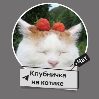 Логотип @musorkanik_chat - Чатик канала "Клубничка на котике"