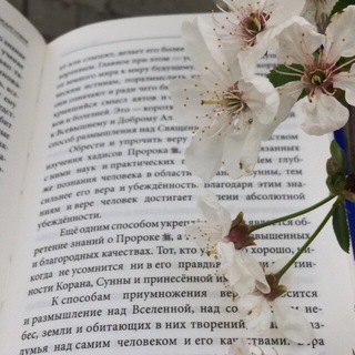 Логотип @mussafiir1 - 𝑤𝑖𝑡ℎ 𝑙𝑜𝑣𝑒, 𝑚𝑎𝑟𝑖