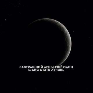 Логотип @mussvotg - Miskin