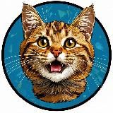 Кот в доме хозяин