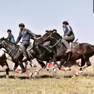 Логотип @mustang_qorabayr - 🐎🐎. MUSTANG.🐎🐎 UCHAR. 🐎🐎. OTLAR. 🐎🐎