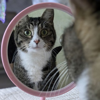 Логотип @musyagena2000 - 📚