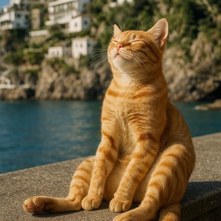 Логотип @musyatishna - Мусятишна, фигли