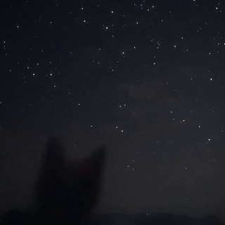 Логотип @mutawwaaa - переход mutawwa