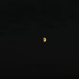 Логотип @muuaffaqa - الرَّسِيس