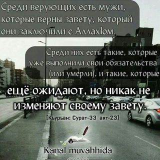 Логотип @muvahid001 - ◌ Канал Муваххида ◌