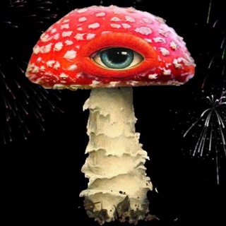 Логотип @muxomopone - Мухомор