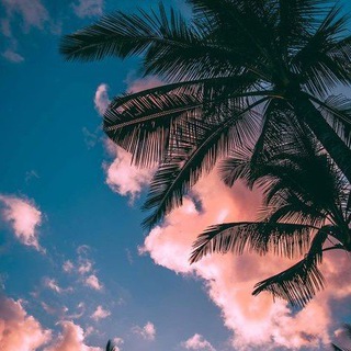 Логотип @muz14minor - 𝟏𝟒 𝐦𝐢𝐧𝐨𝐫 🎧