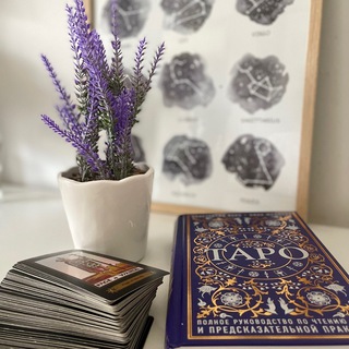 Логотип @muz_life5 - Отзывы Lovely Tarologist🔮