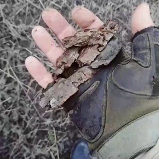 Логотип @muzakireq - Müzakirə