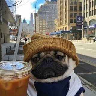 Логотип @muzhensy - 𝐇 𝐄 𝐍 𝐒 𝐘 🕊