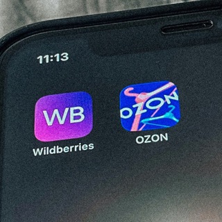 Логотип @muzhskoy_wb - Мужицкий W.Ozon | WB и Ozon для трушных мужиков