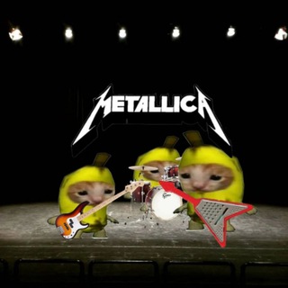 Логотип @muzicachi - музыканты