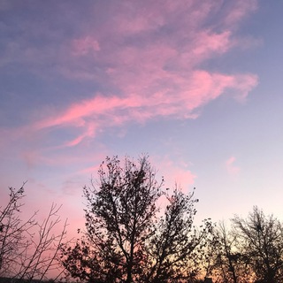 Логотип @muzicru - Музыка