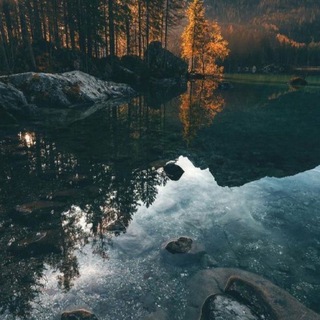 Логотип @muzik_top_muzik - Музыка 🎵 Цитаты