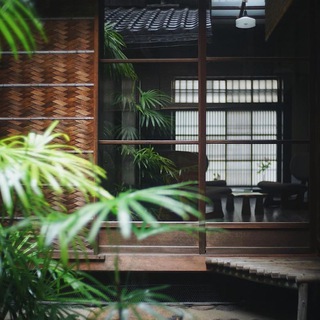 Логотип @muzika_jp - Японские песни 🦎🎋