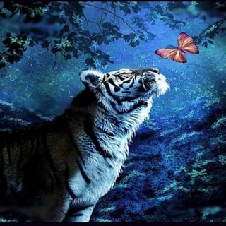 Логотип @muzikrus - Музыка Яр