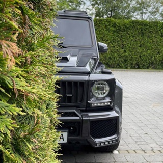 Логотип @muziksliv - 🎵 МУЗЫКА В МАШИНУ 🚘 Треки из TikTok