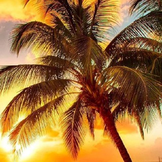 Логотип @muznet - @Muznet