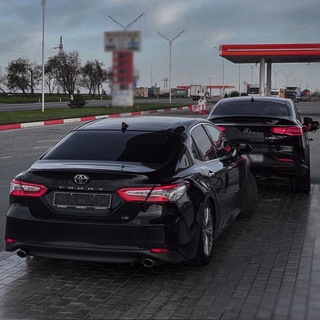 Логотип @muznorchat - ⚜️𝐌𝐔𝐙𝐍𝐎.𝐑⚜️ Chat